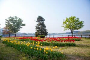 일산에어비앤비예약수익현황